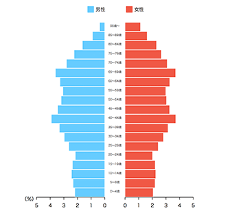 浜松市の人口構成（2015年）